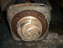 Goulds 3996